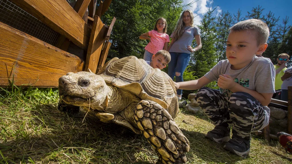 ZOOKONTAKT family park - Správa sieťových prvkov